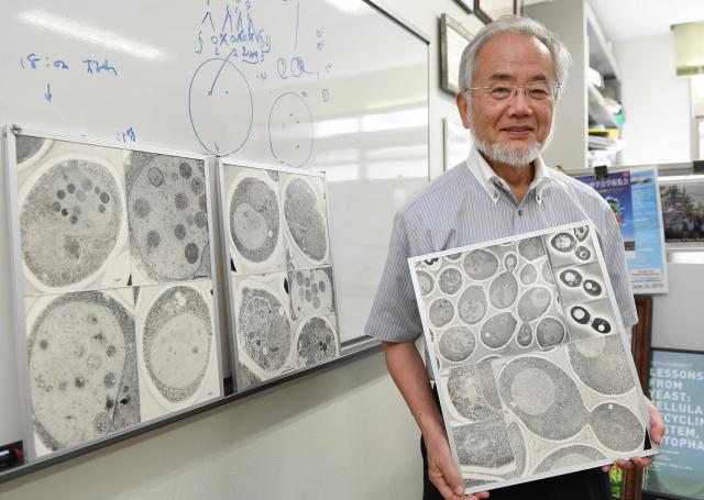 Fantastični ćelijski mehanizam doneo Nobela Japancu (VIDEO)